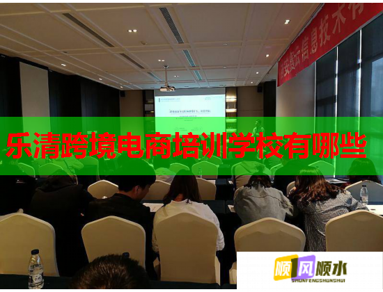 乐清跨境电商培训学校有哪些  第1张