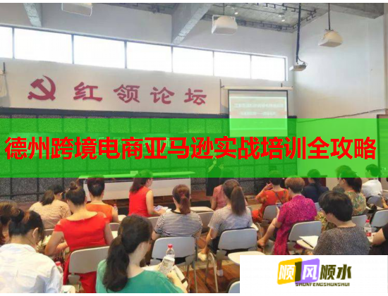 德州跨境电商亚马逊实战培训全攻略  第1张