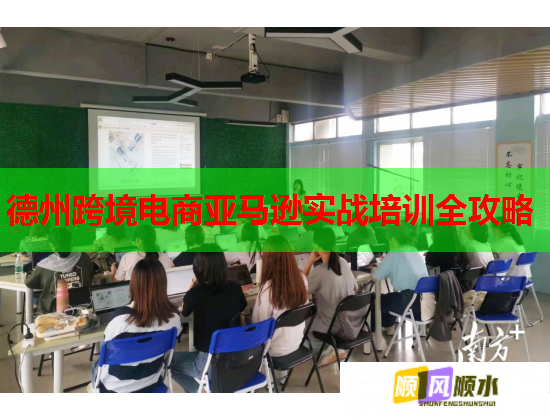 德州跨境电商亚马逊实战培训全攻略  第3张