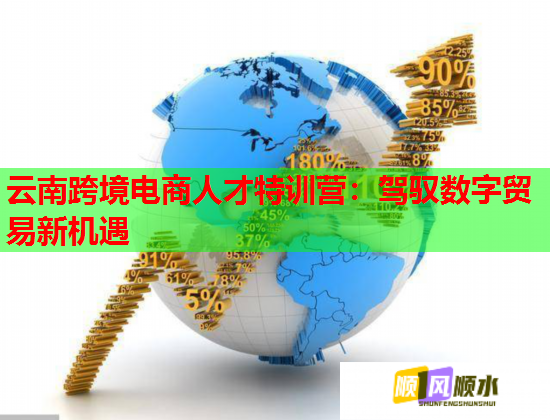 云南跨境电商人才特训营：驾驭数字贸易新机遇