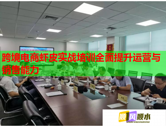 跨境电商虾皮实战培训全面提升运营与销售能力  第3张