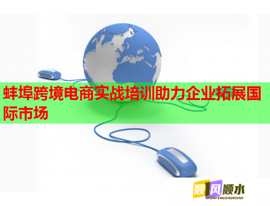 蚌埠跨境电商实战培训助力企业拓展国际市场
