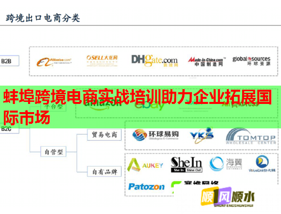 蚌埠跨境电商实战培训助力企业拓展国际市场  第2张