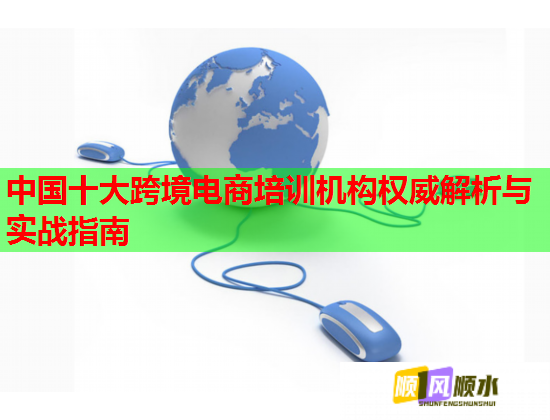 中国十大跨境电商培训机构权威解析与实战指南