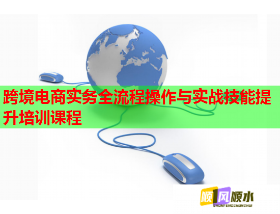跨境电商实务全流程操作与实战技能提升培训课程  第2张