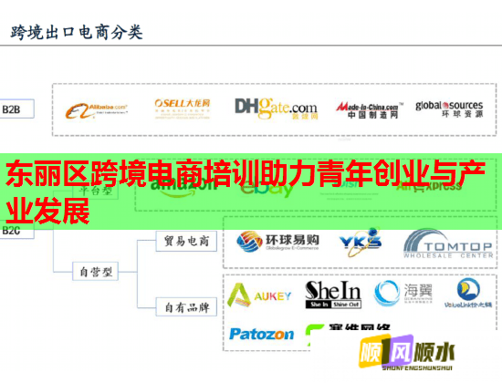 东丽区跨境电商培训助力青年创业与产业发展