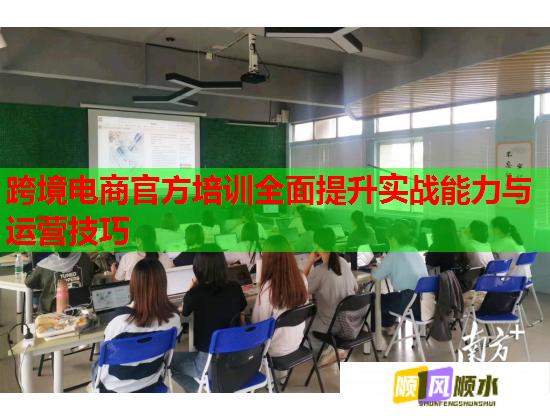 跨境电商官方培训全面提升实战能力与运营技巧