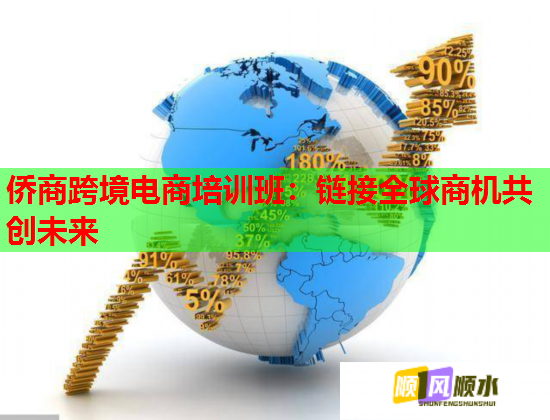 侨商跨境电商培训班：链接全球商机共创未来