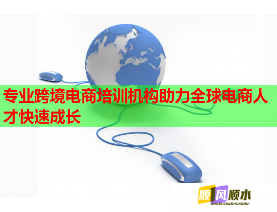 专业跨境电商培训机构助力全球电商人才快速成长  第1张