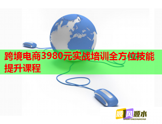 跨境电商3980元实战培训全方位技能提升课程  第2张