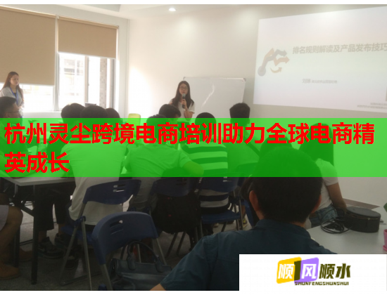 杭州灵尘跨境电商培训助力全球电商精英成长