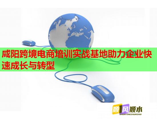 咸阳跨境电商培训实战基地助力企业快速成长与转型