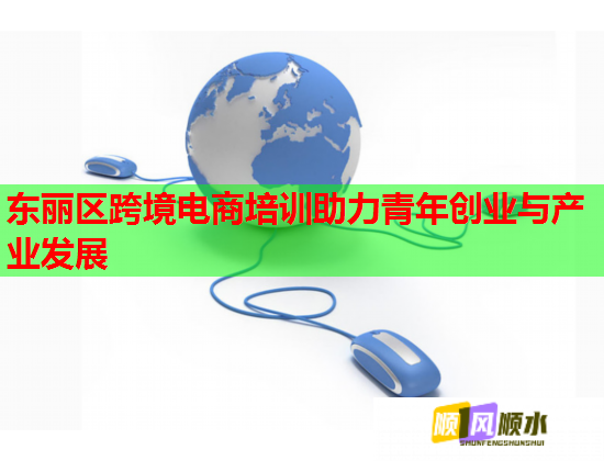 东丽区跨境电商培训助力青年创业与产业发展