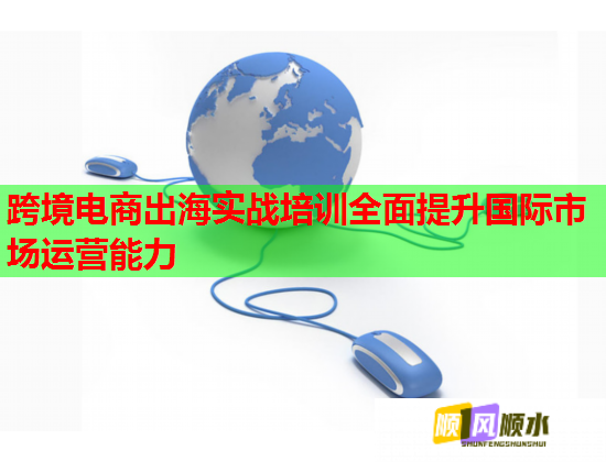 跨境电商出海实战培训全面提升国际市场运营能力  第2张
