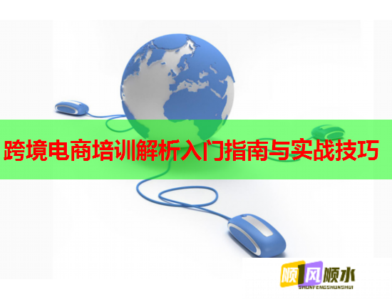 跨境电商培训解析入门指南与实战技巧