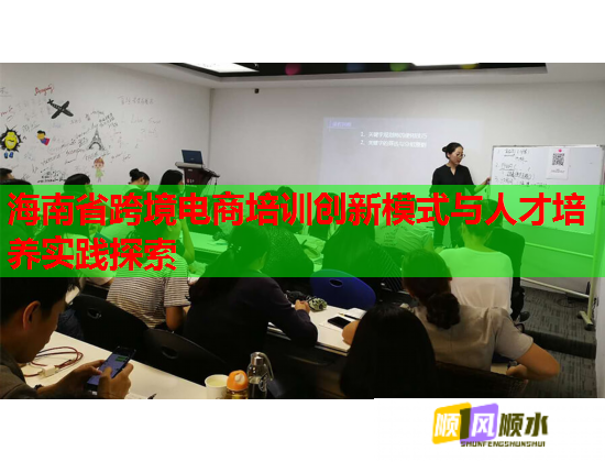 海南省跨境电商培训创新模式与人才培养实践探索  第1张