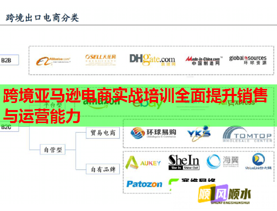 跨境亚马逊电商实战培训全面提升销售与运营能力  第1张