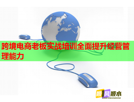 跨境电商老板实战培训全面提升经营管理能力  第1张