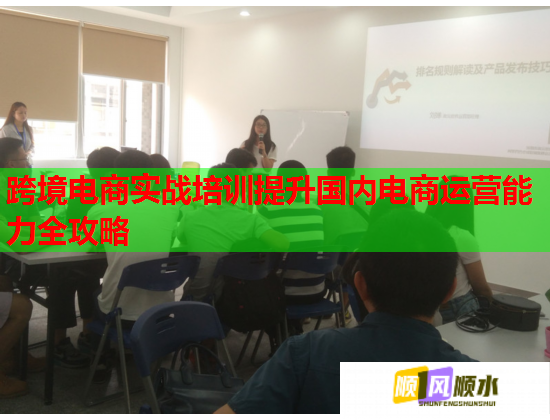 跨境电商实战培训提升国内电商运营能力全攻略  第1张