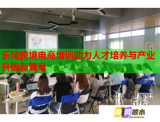 乐陵跨境电商培训助力人才培养与产业升级新篇章  第1张