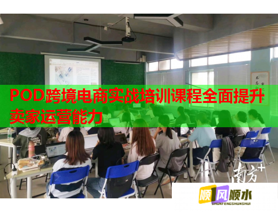 POD跨境电商实战培训课程全面提升卖家运营能力  第3张