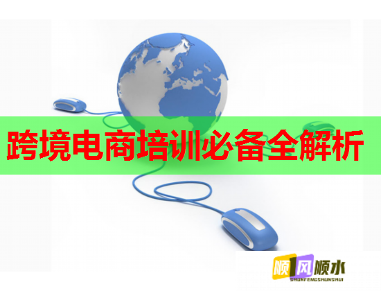 跨境电商培训必备全解析  第2张