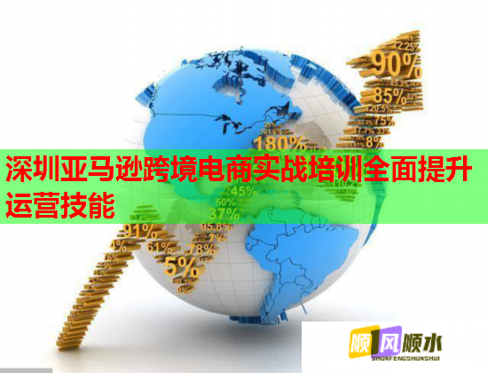深圳亚马逊跨境电商实战培训全面提升运营技能  第3张