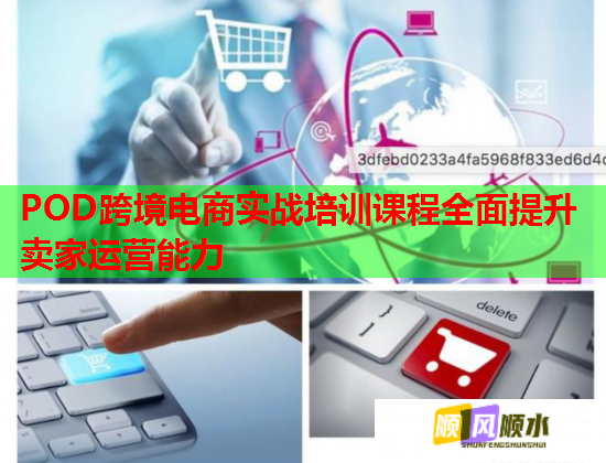 POD跨境电商实战培训课程全面提升卖家运营能力  第1张