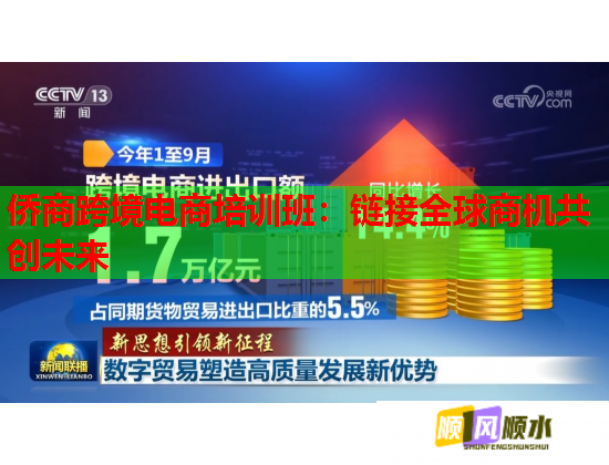 侨商跨境电商培训班：链接全球商机共创未来  第1张