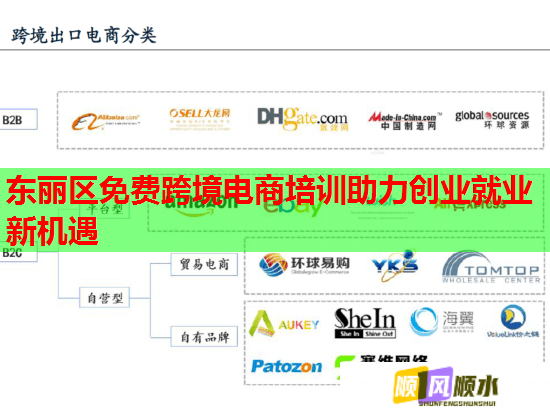 东丽区免费跨境电商培训助力创业就业新机遇