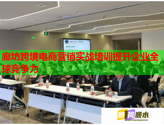 廊坊跨境电商营销实战培训提升企业全球竞争力  第2张