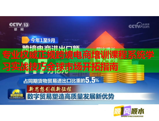专业权威正规跨境电商培训课程系统学习实战技巧全球市场开拓指南  第2张 专业权威正规跨境电商培训课程系统学习实战技巧全球市场开拓指南  第2张