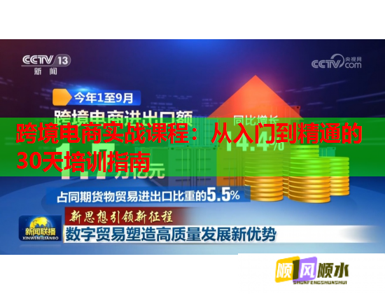 跨境电商实战课程:从入门到精通的30天培训指南  第1张 跨境电商实战课程:从入门到精通的30天培训指南  第1张