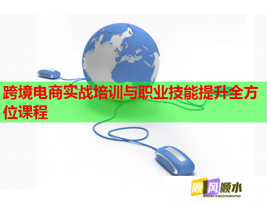 跨境电商实战培训与职业技能提升全方位课程  第1张 跨境电商实战培训与职业技能提升全方位课程  第1张
