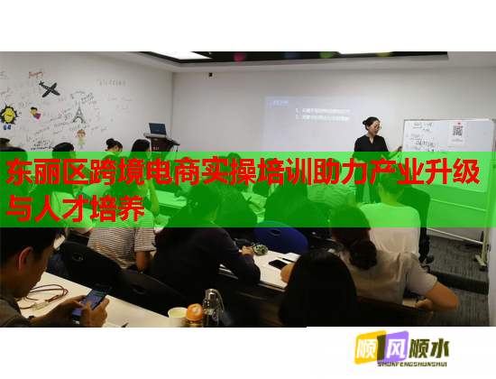 东丽区跨境电商实操培训助力产业升级与人才培养  第1张