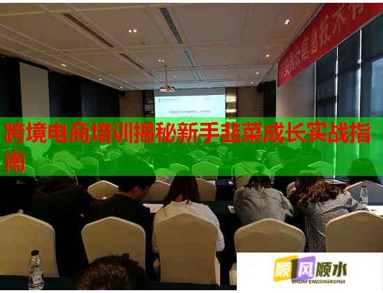 跨境电商培训揭秘新手韭菜成长实战指南  第1张 跨境电商培训揭秘新手韭菜成长实战指南  第1张
