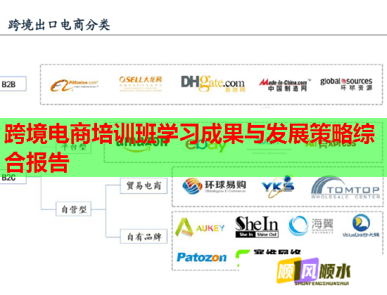 跨境电商培训班学习成果与发展策略综合报告