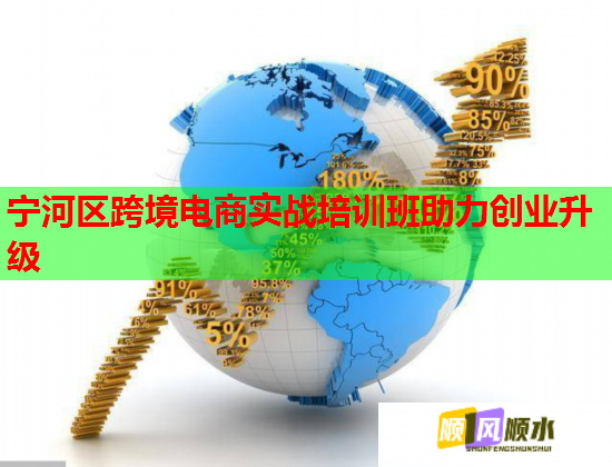 宁河区跨境电商实战培训班助力创业升级  第2张