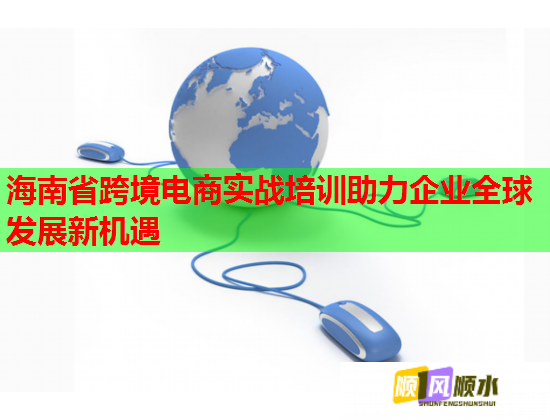 海南省跨境电商实战培训助力企业全球发展新机遇