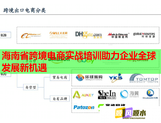 海南省跨境电商实战培训助力企业全球发展新机遇  第2张