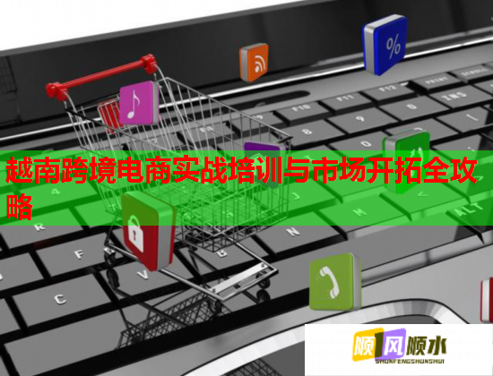 越南跨境电商实战培训与市场开拓全攻略